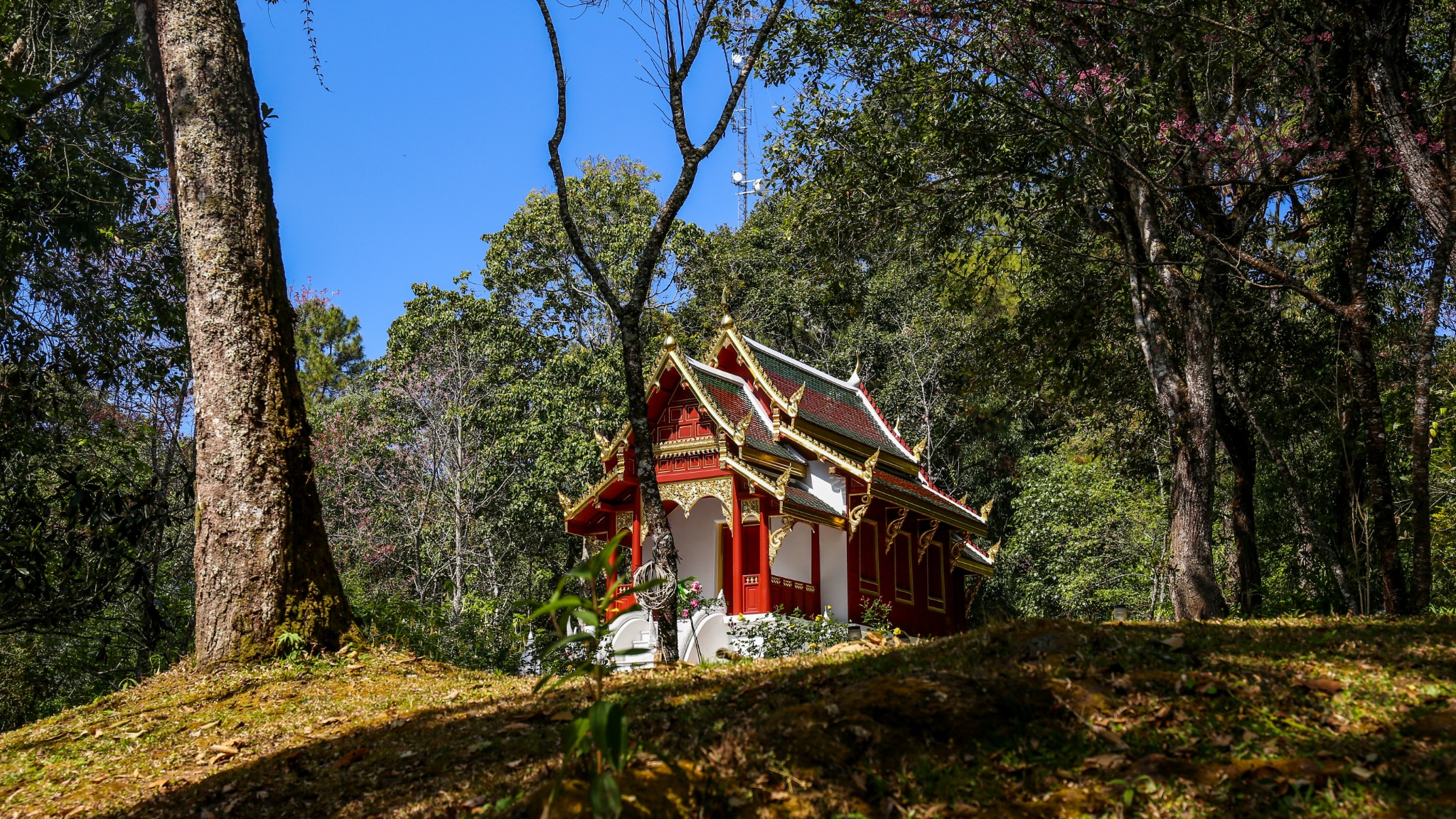 day 3:素貼山—清邁大學—契迪龍寺—夜市水門市場水門市場水門市場