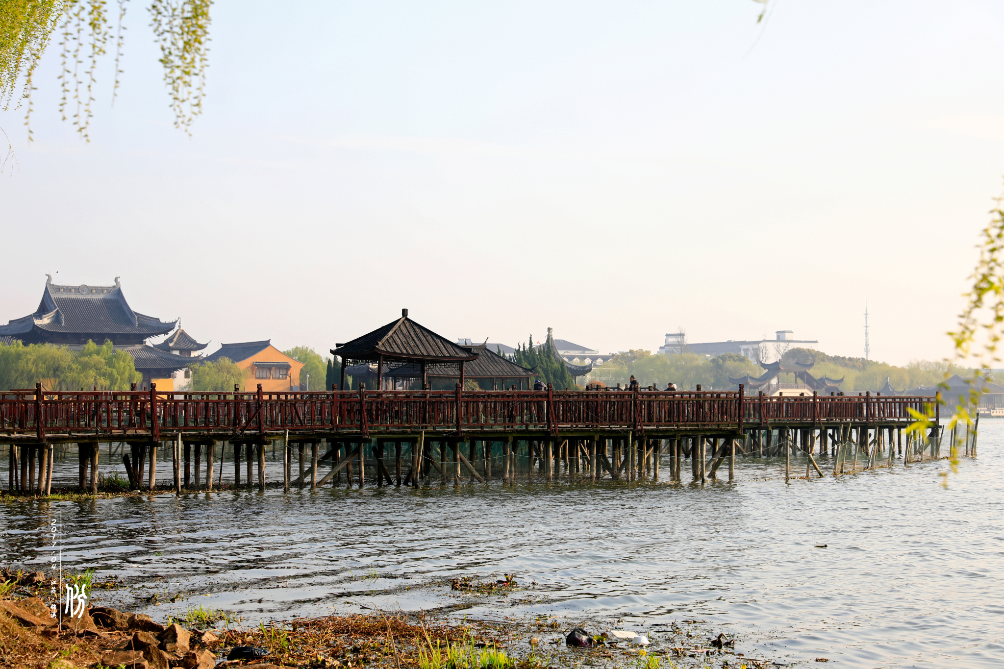 「bin」古莲长堤,为你而来,锦溪旅游攻略 - 马蜂窝