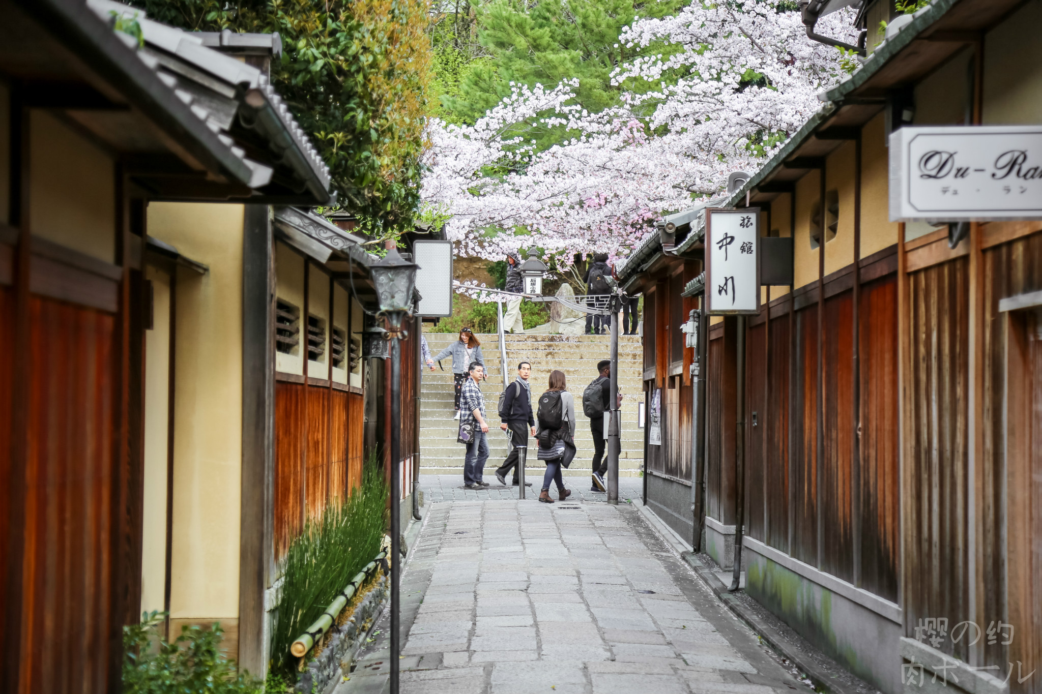 京都自助遊攻略