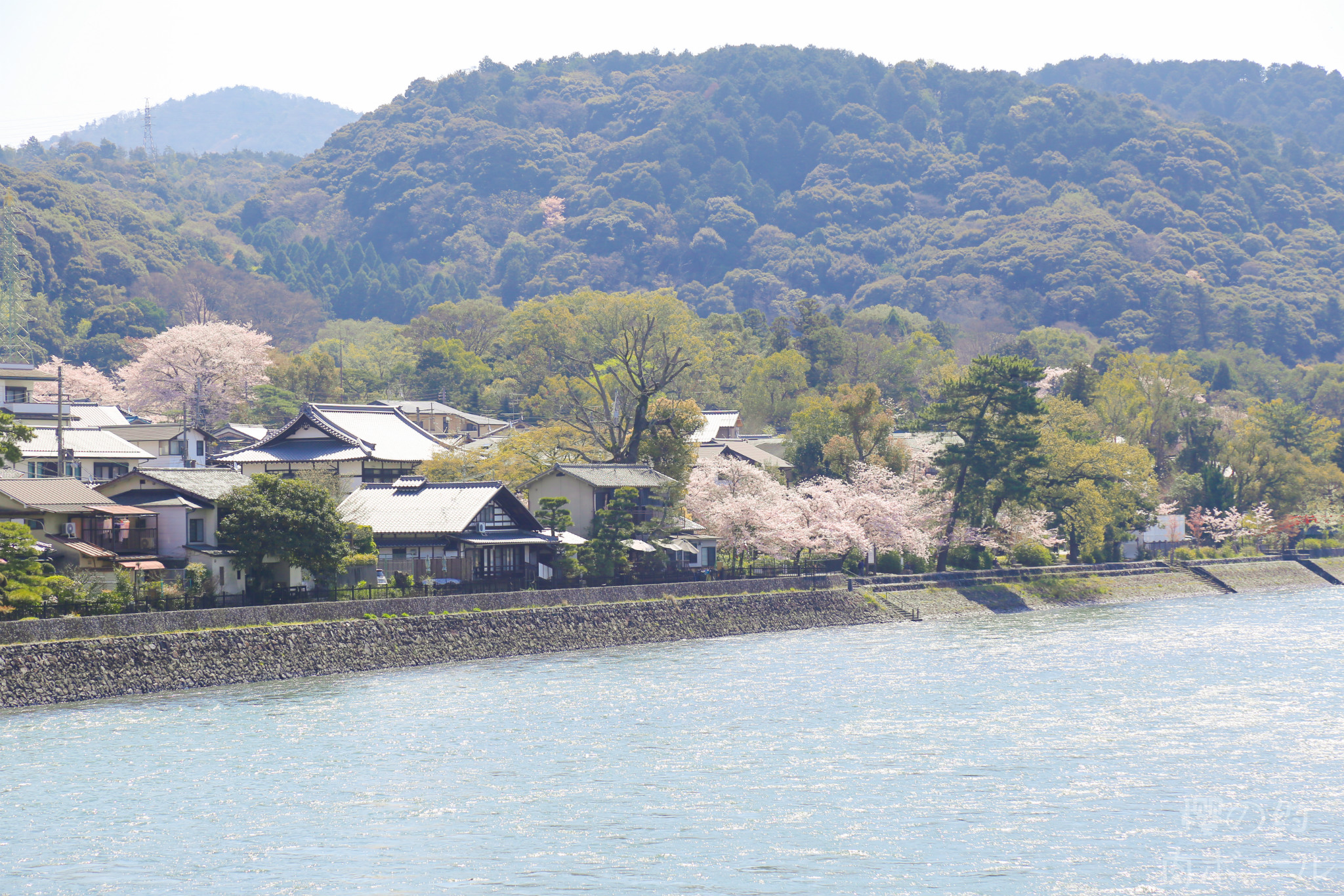 京都自助遊攻略