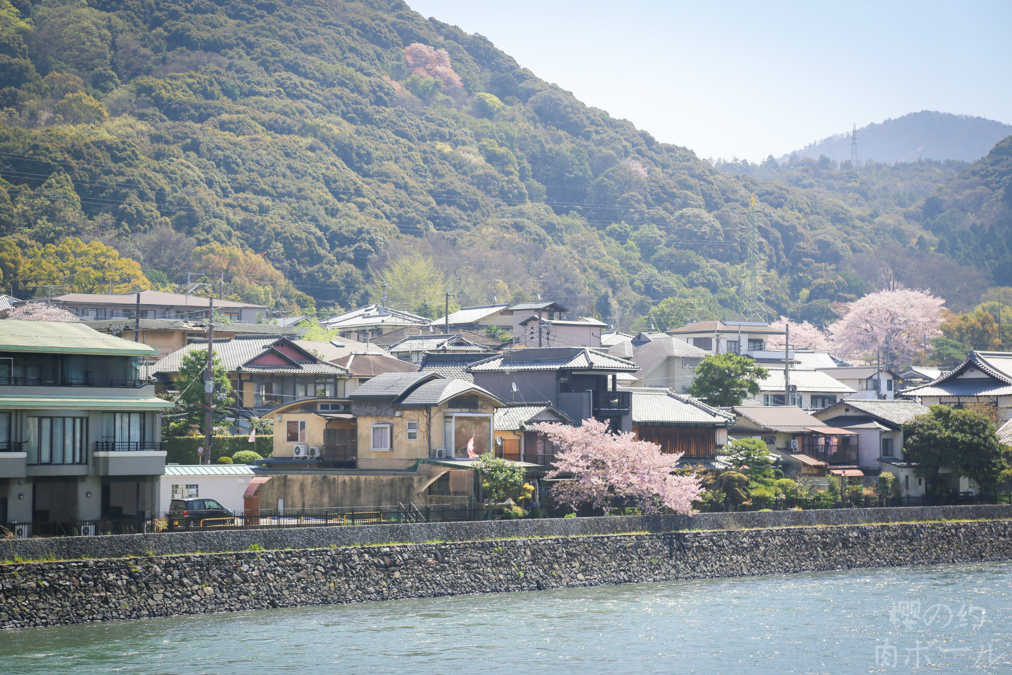 京都自助遊攻略