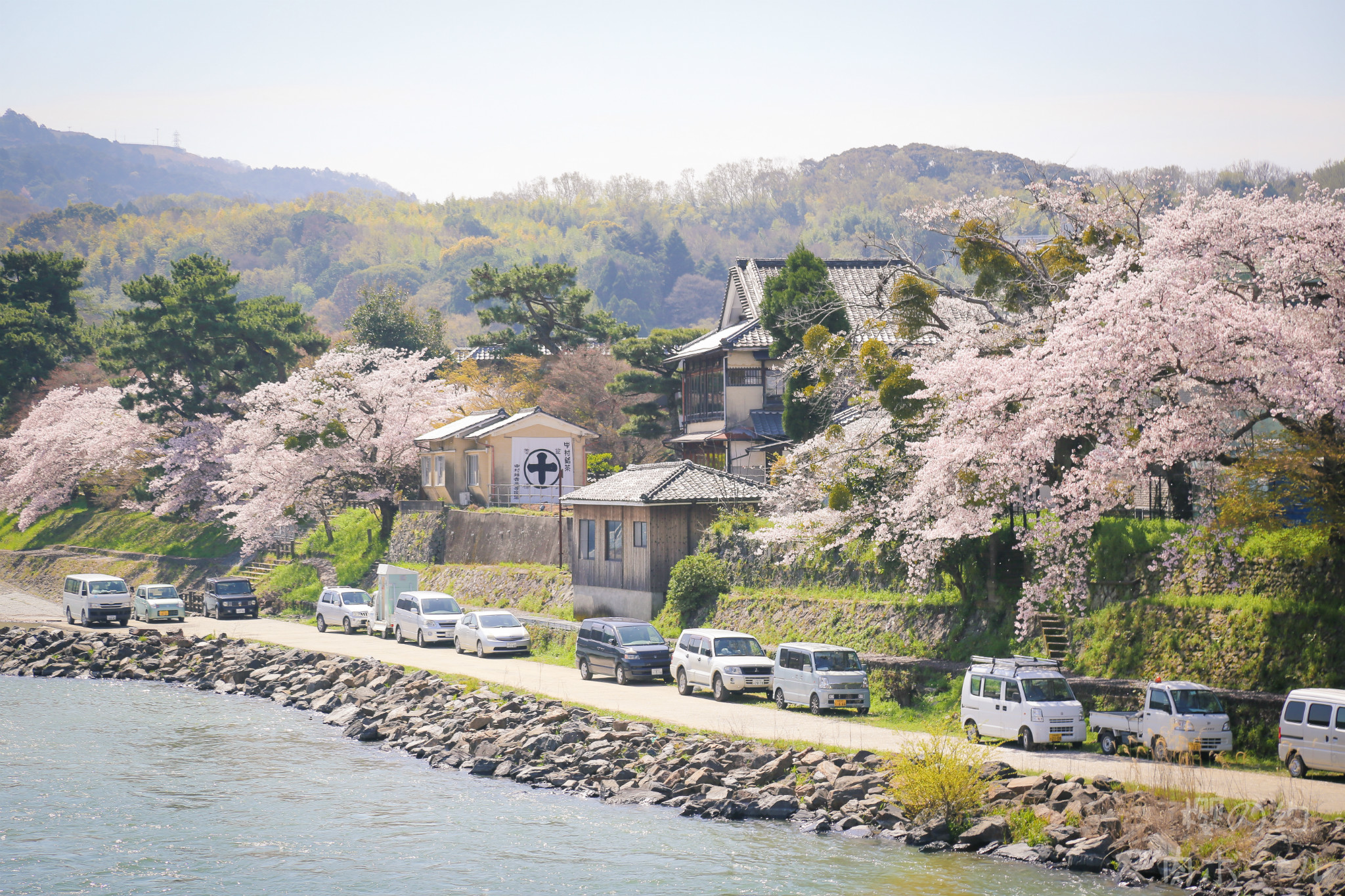 京都自助遊攻略