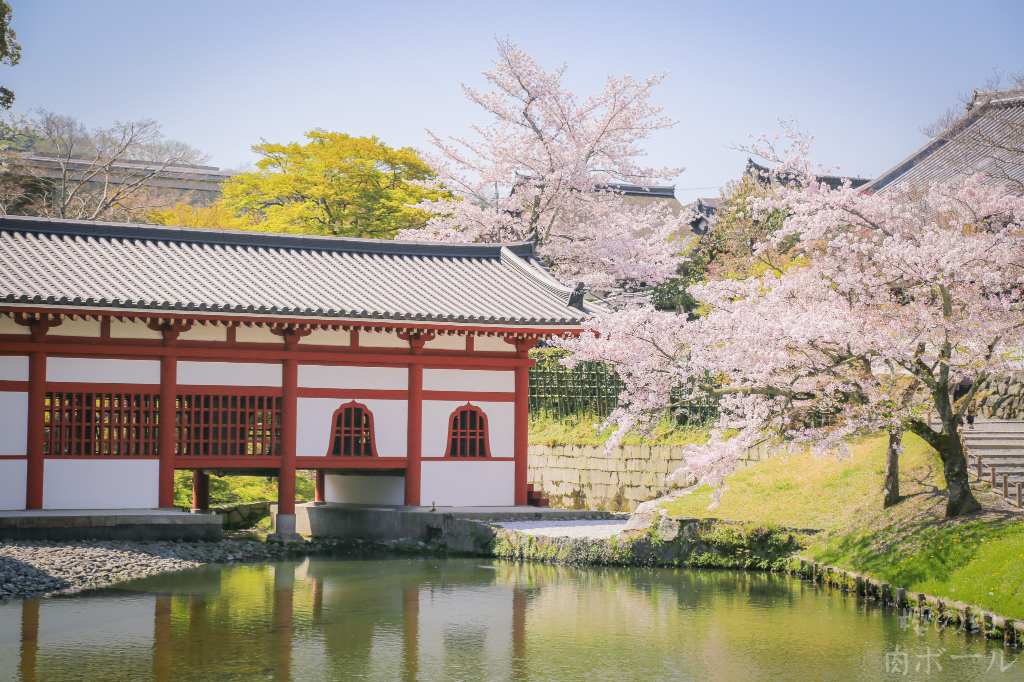 京都自助遊攻略