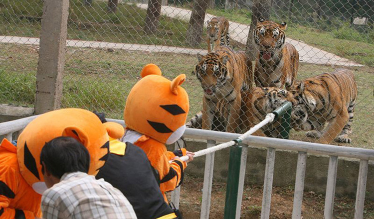 武漢九峰森林動物園電子票(動物表演/入園快速便捷/支持隨時退)