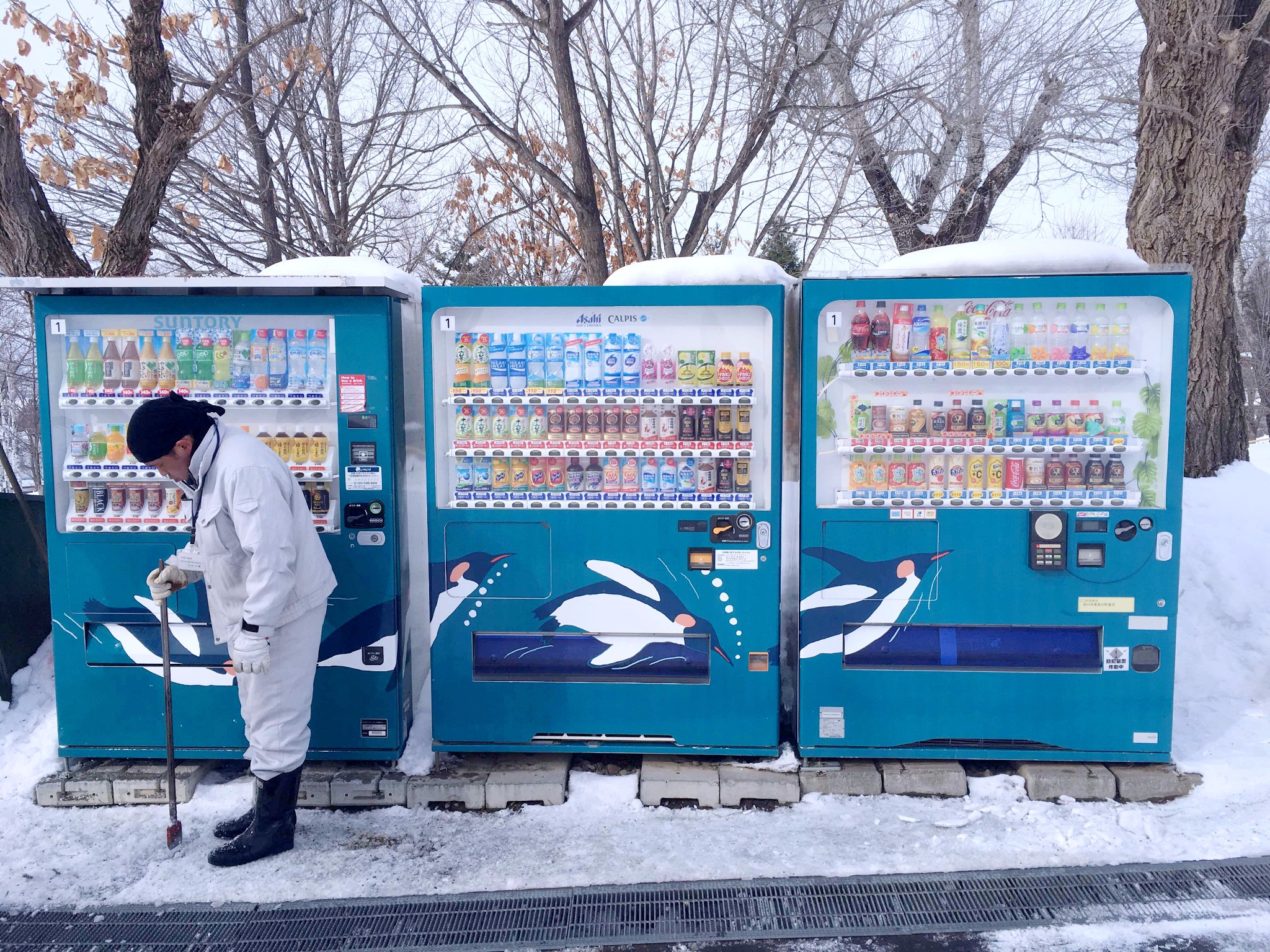 北海道自助遊攻略