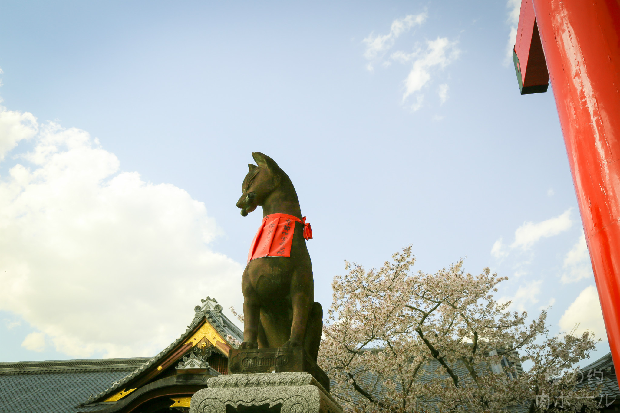 京都自助遊攻略