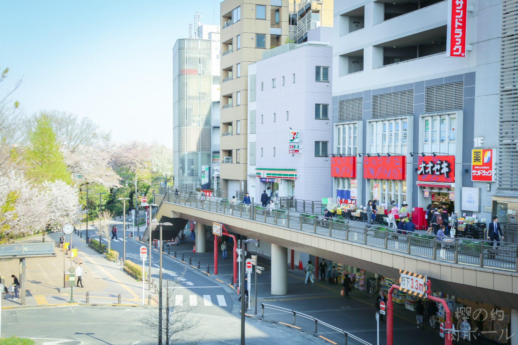 京都自助遊攻略