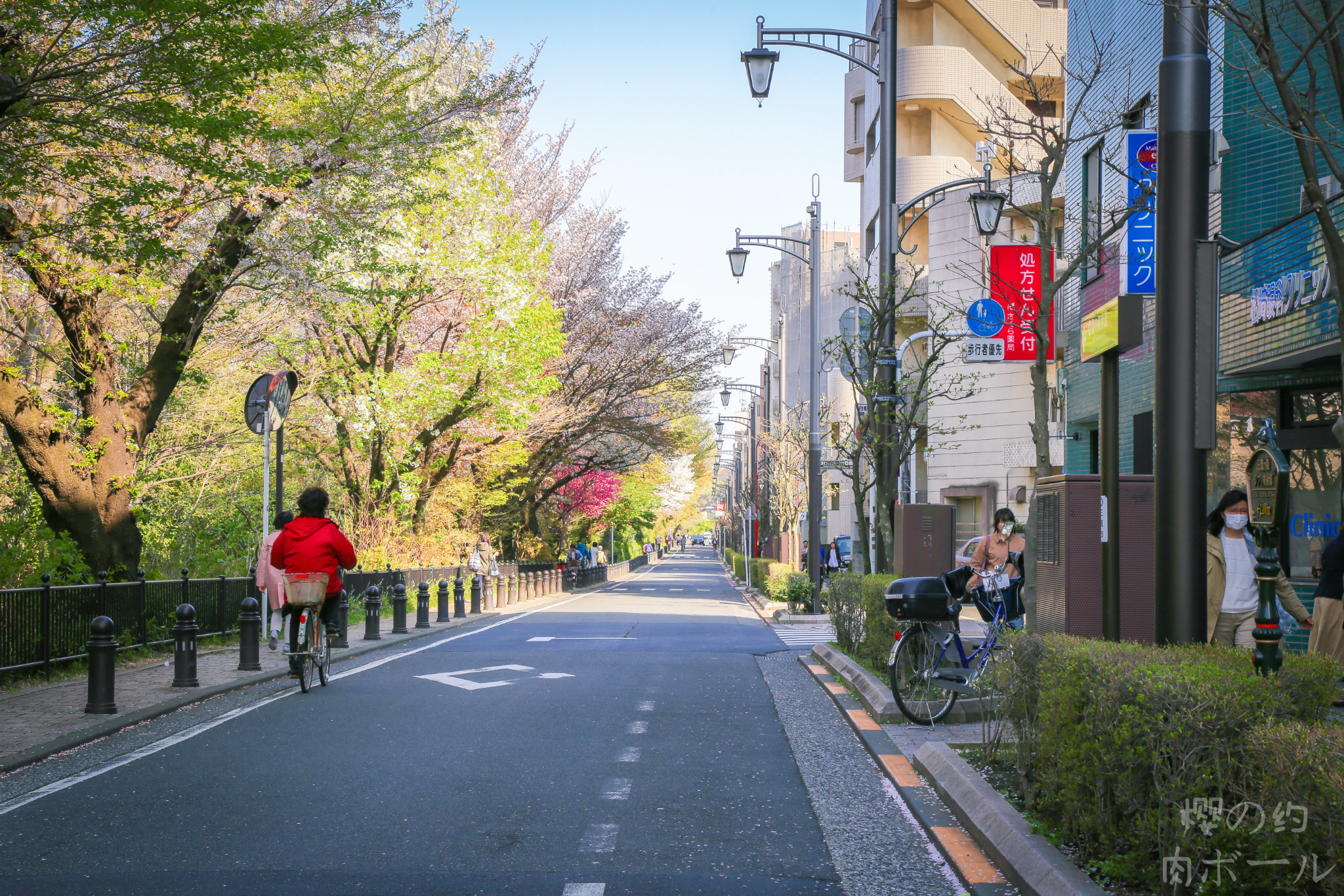 京都自助遊攻略