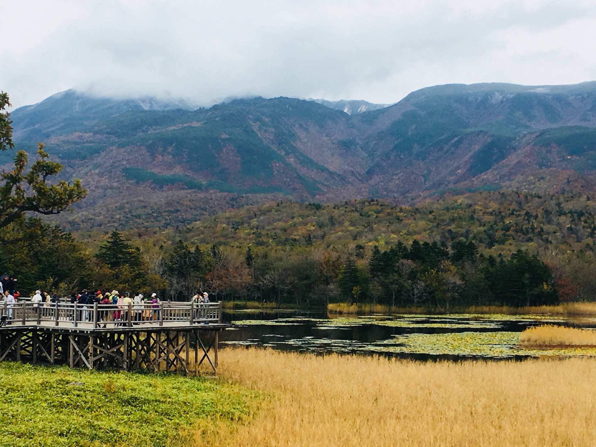 北海道取景地有哪些,北海道有哪些電影取景地