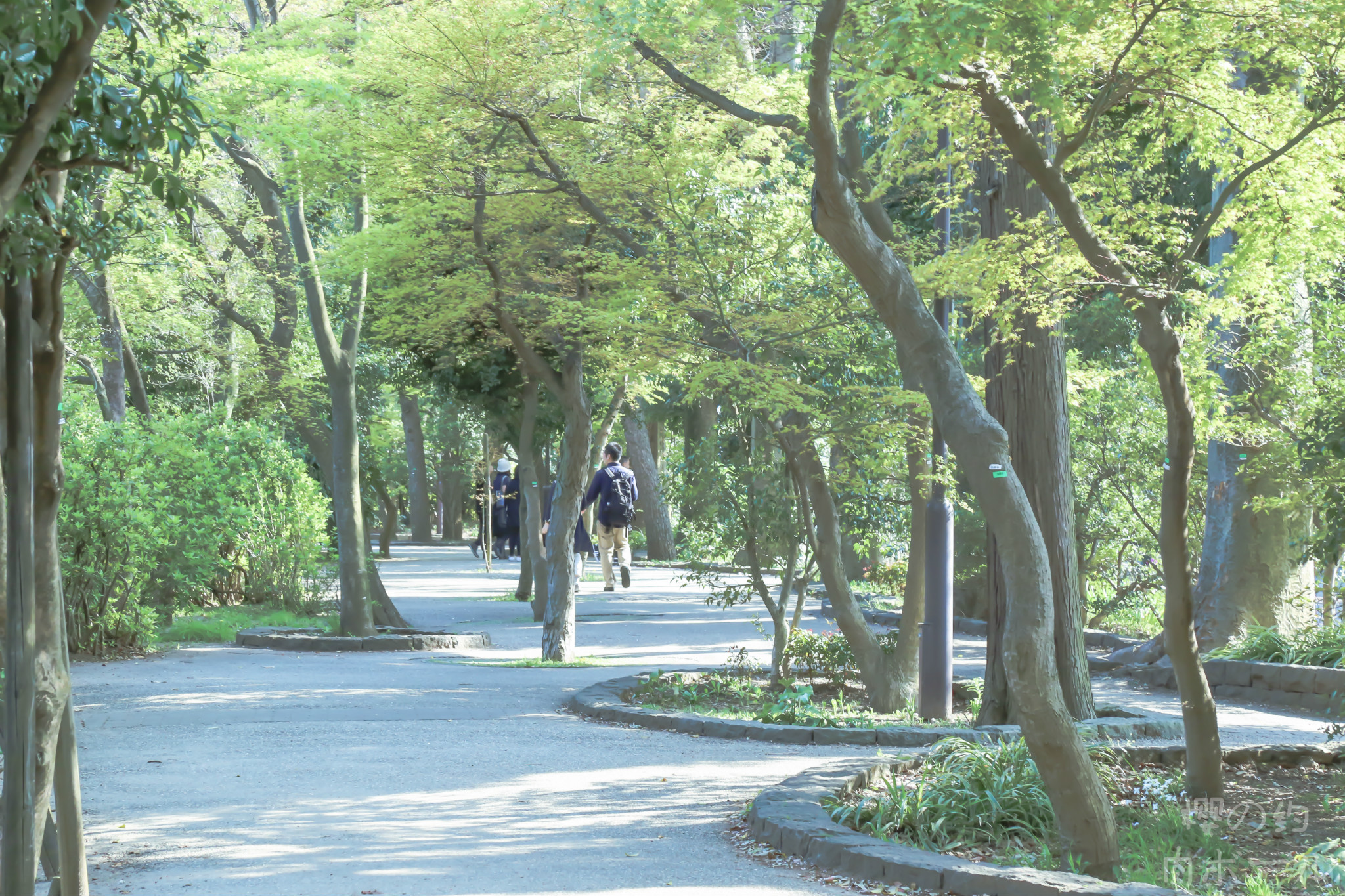 京都自助遊攻略