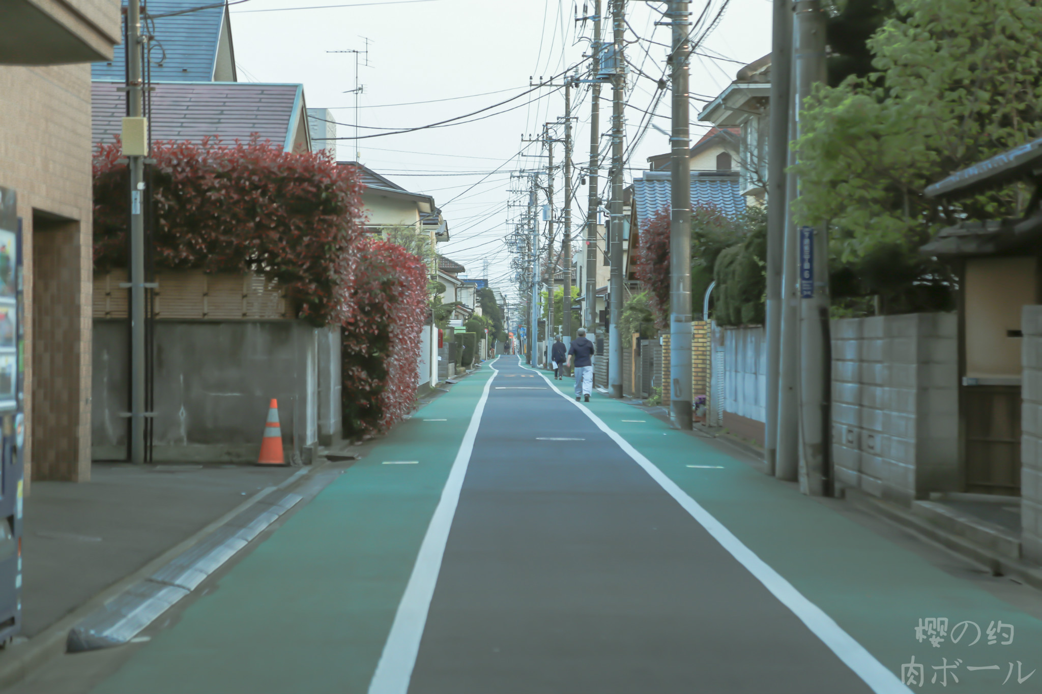 京都自助遊攻略