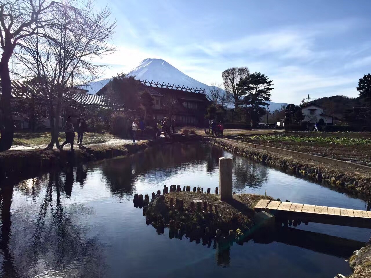 東京自助遊攻略