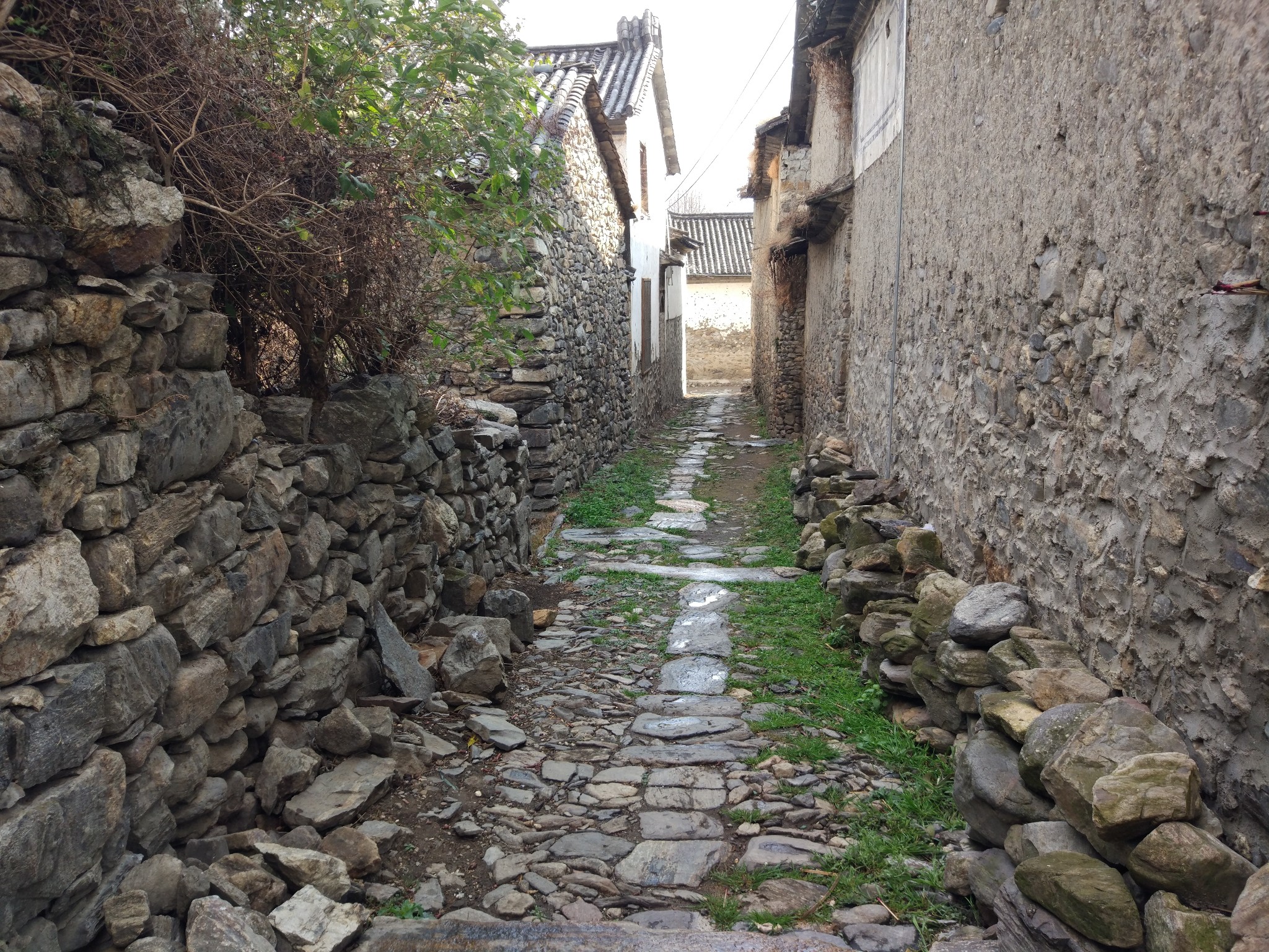 洱源鳳羽古鎮半日遊