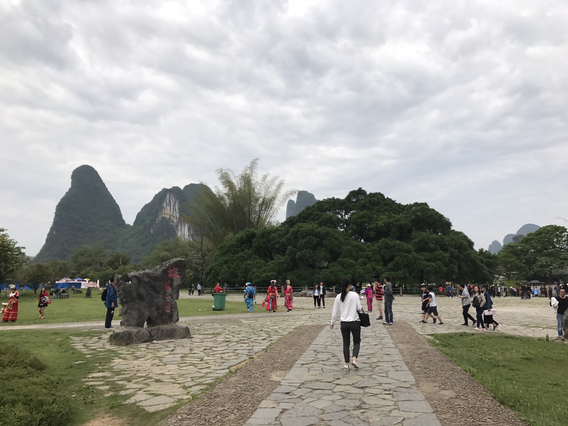 Yangshuo Big Banyan Tree