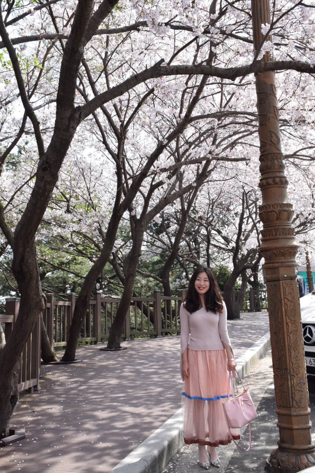 seoulbusan随记遇上最美的季节首尔釜山