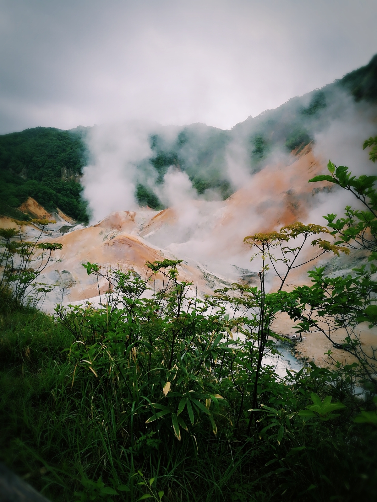 北海道自助遊攻略