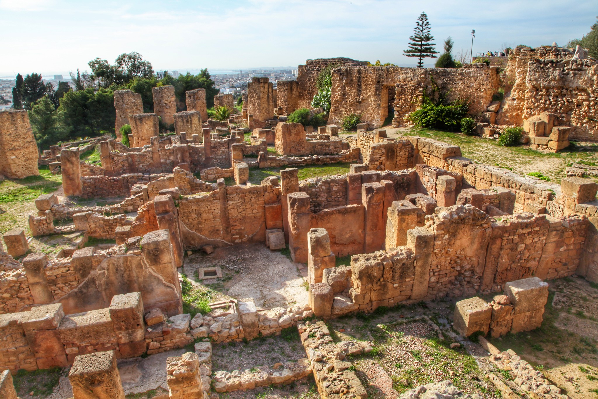 去迦太基必看，2800年后重见天日的突尼斯古城- 马蜂窝