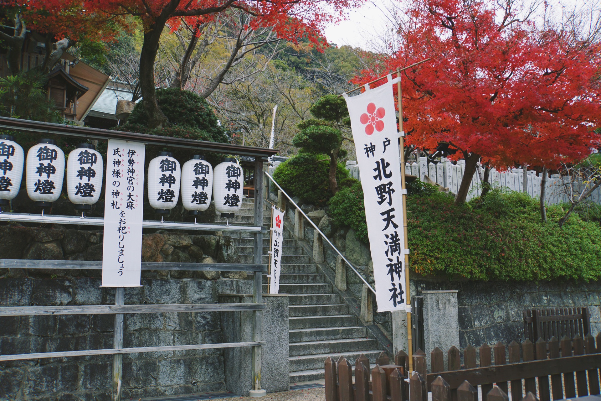 京都自助遊攻略