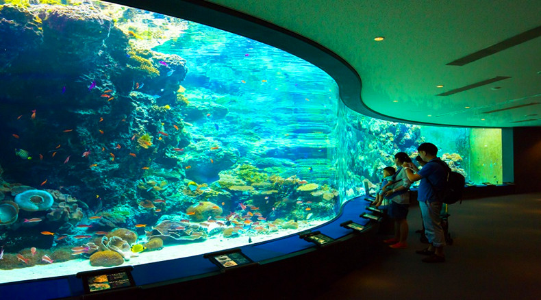冲绳美丽海水族馆电子票(多项世界之最 海洋生物体验 亲子旅游必去