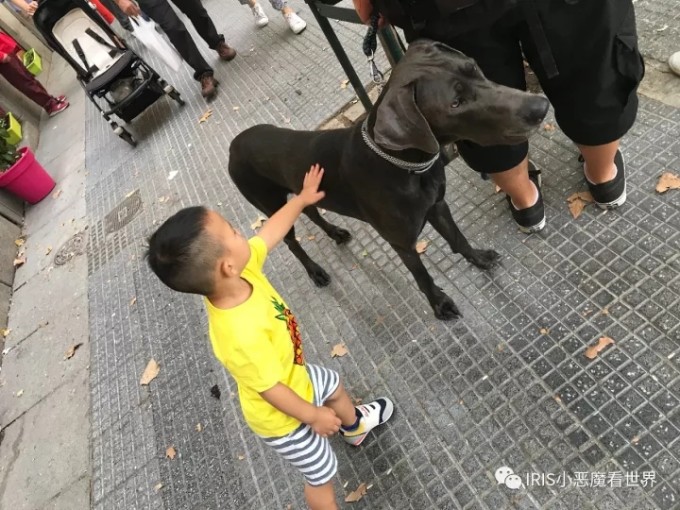 馬德里自助遊攻略