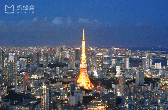 tokyo夜晚有点hot!不虚此行的夜游东京大作战