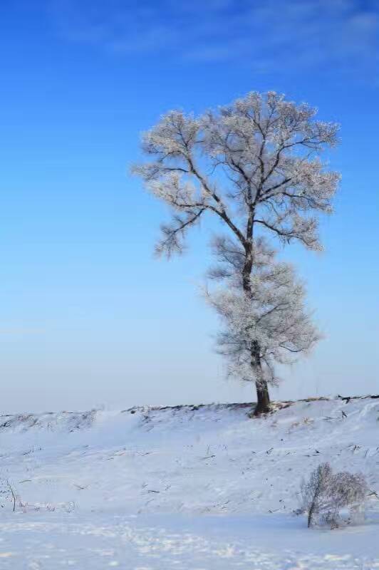 雪鄉自助遊攻略