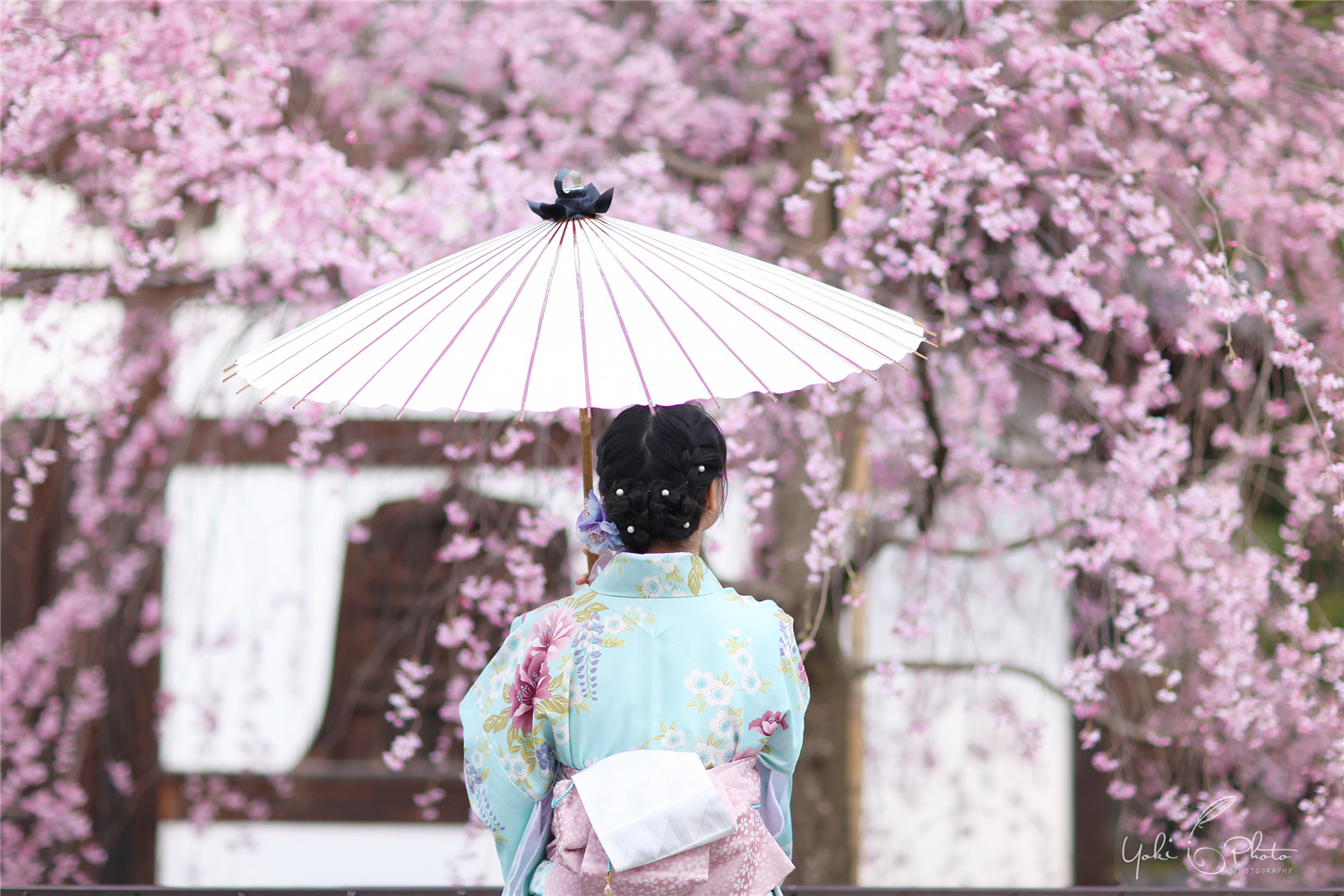 京都自助遊攻略