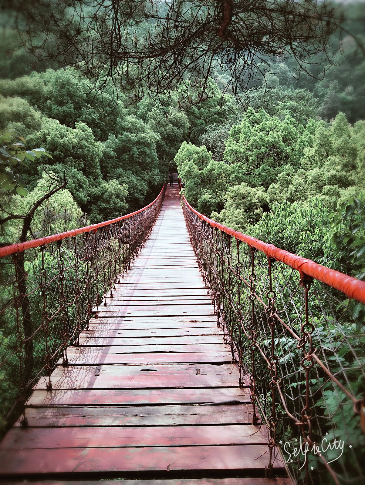 歌樂山一日遊(全徒步),重慶旅遊攻略 - 馬蜂窩