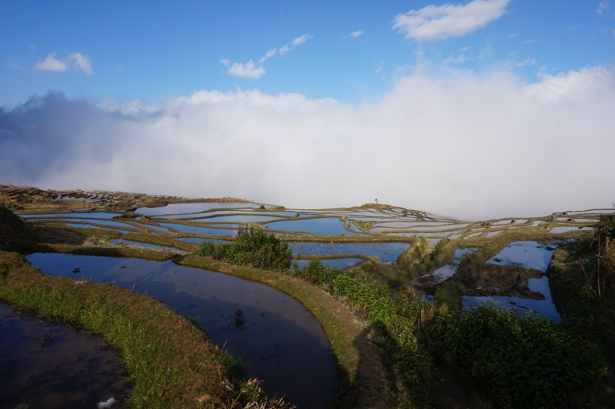 2017年春節廣西巴馬雲南雲陽梯田大理怒江阿姆登村獨龍江鄉丙中洛騰衝