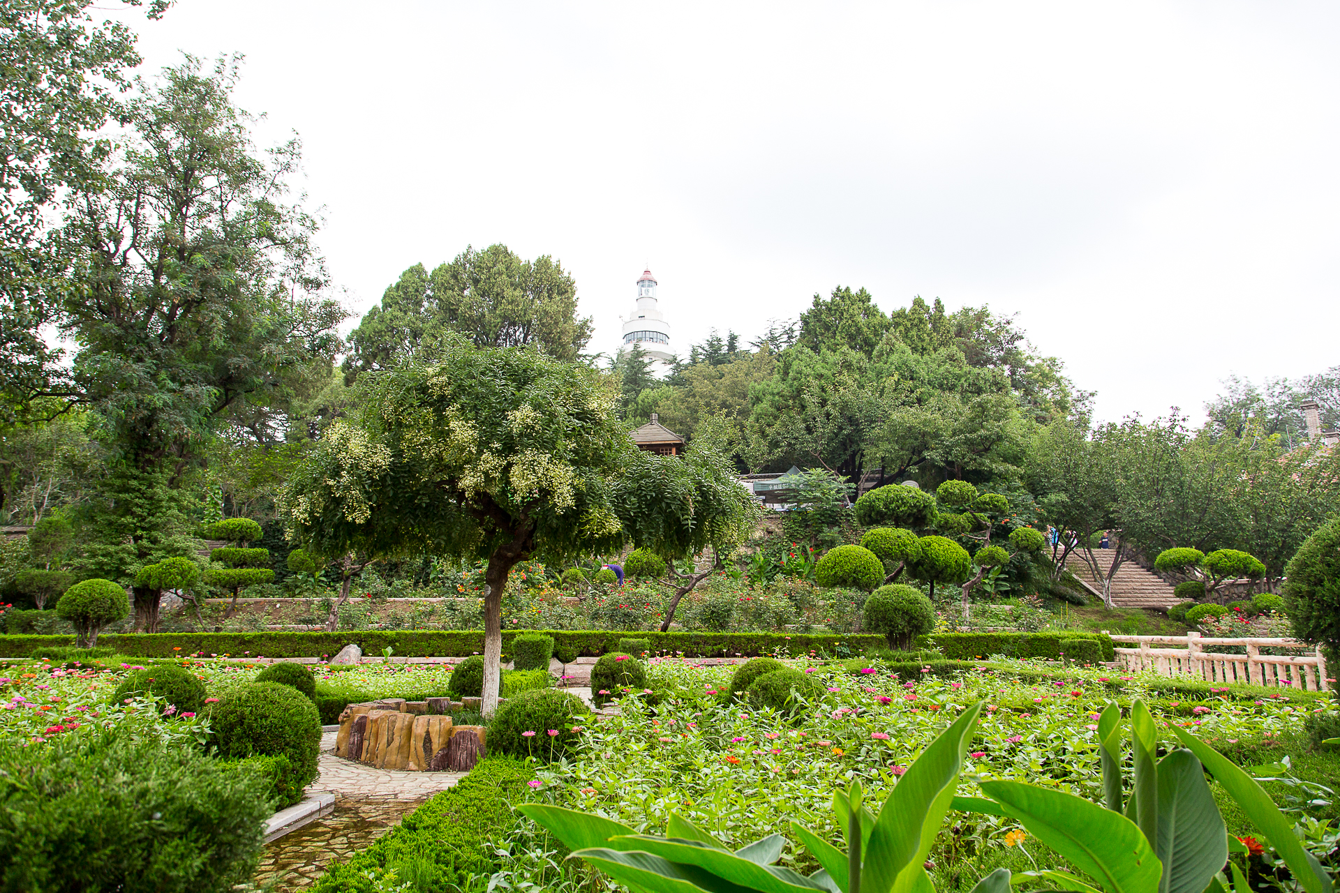 煙臺重遊2日之一煙臺山公園煙雨濛濛