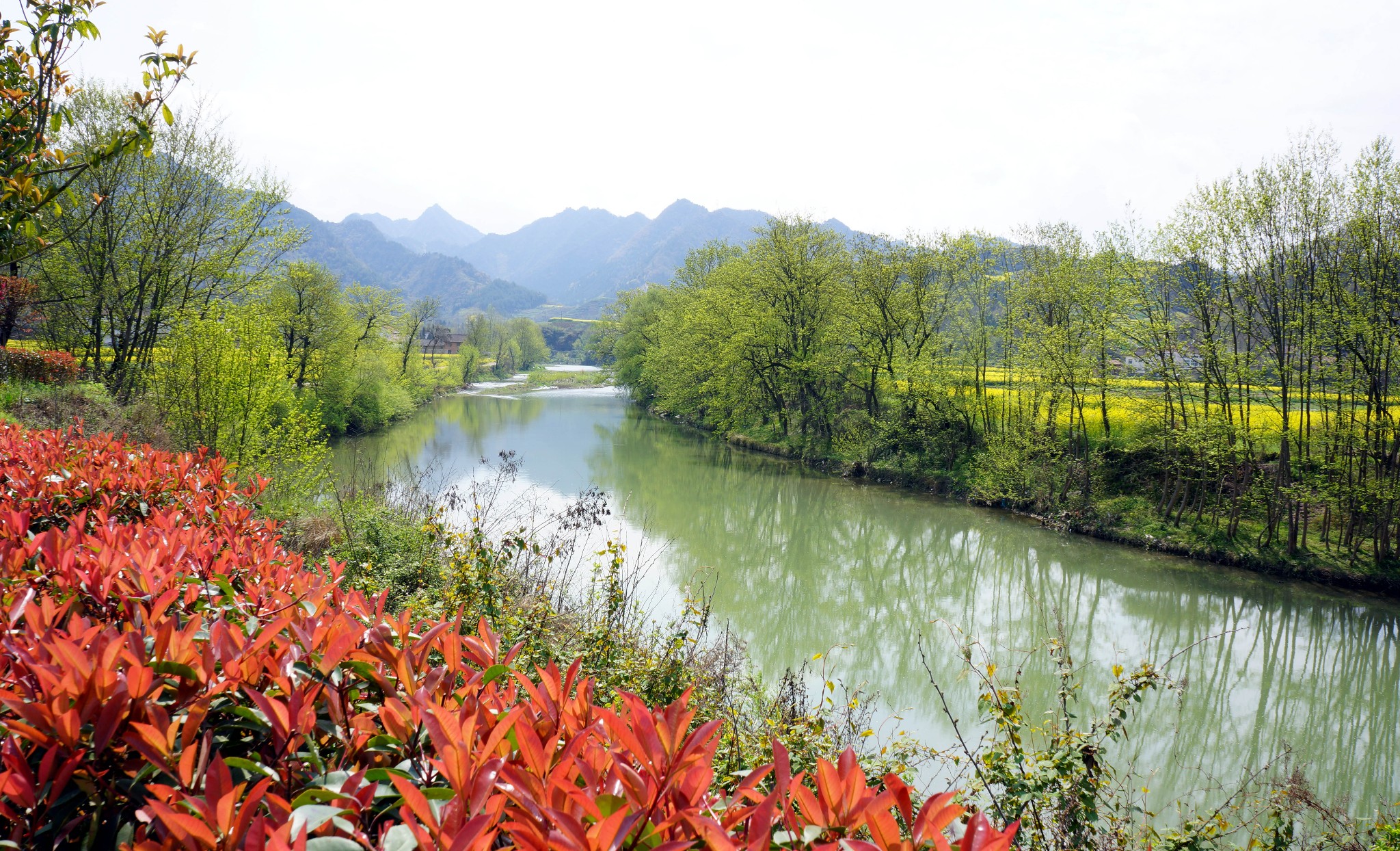 賞花訪古遊漢中之六,阜川到元墩