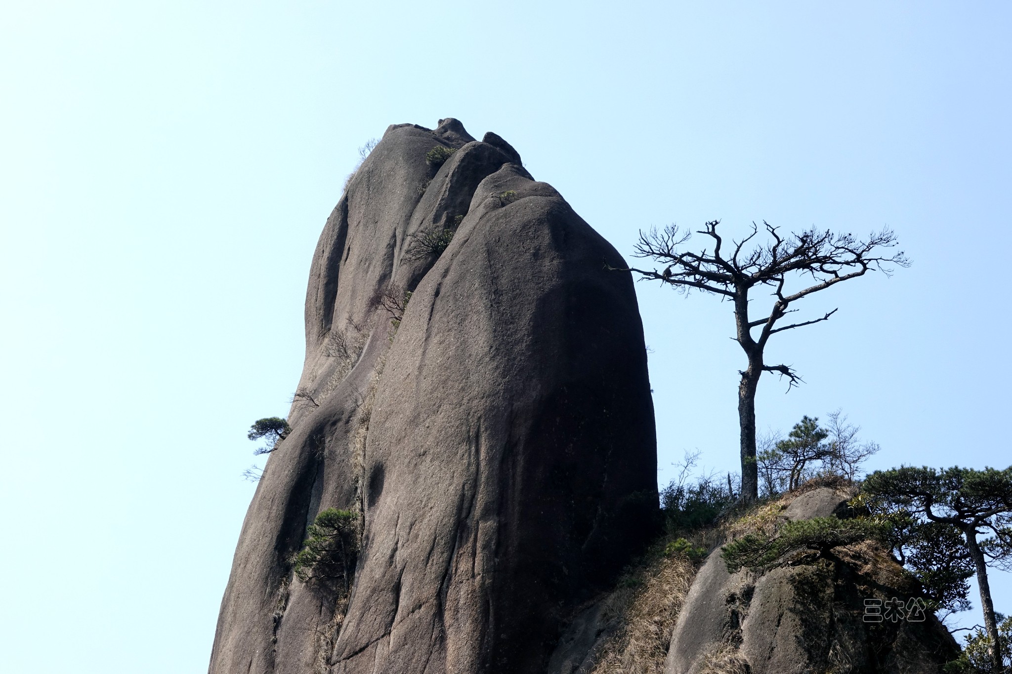 三清山自助遊攻略