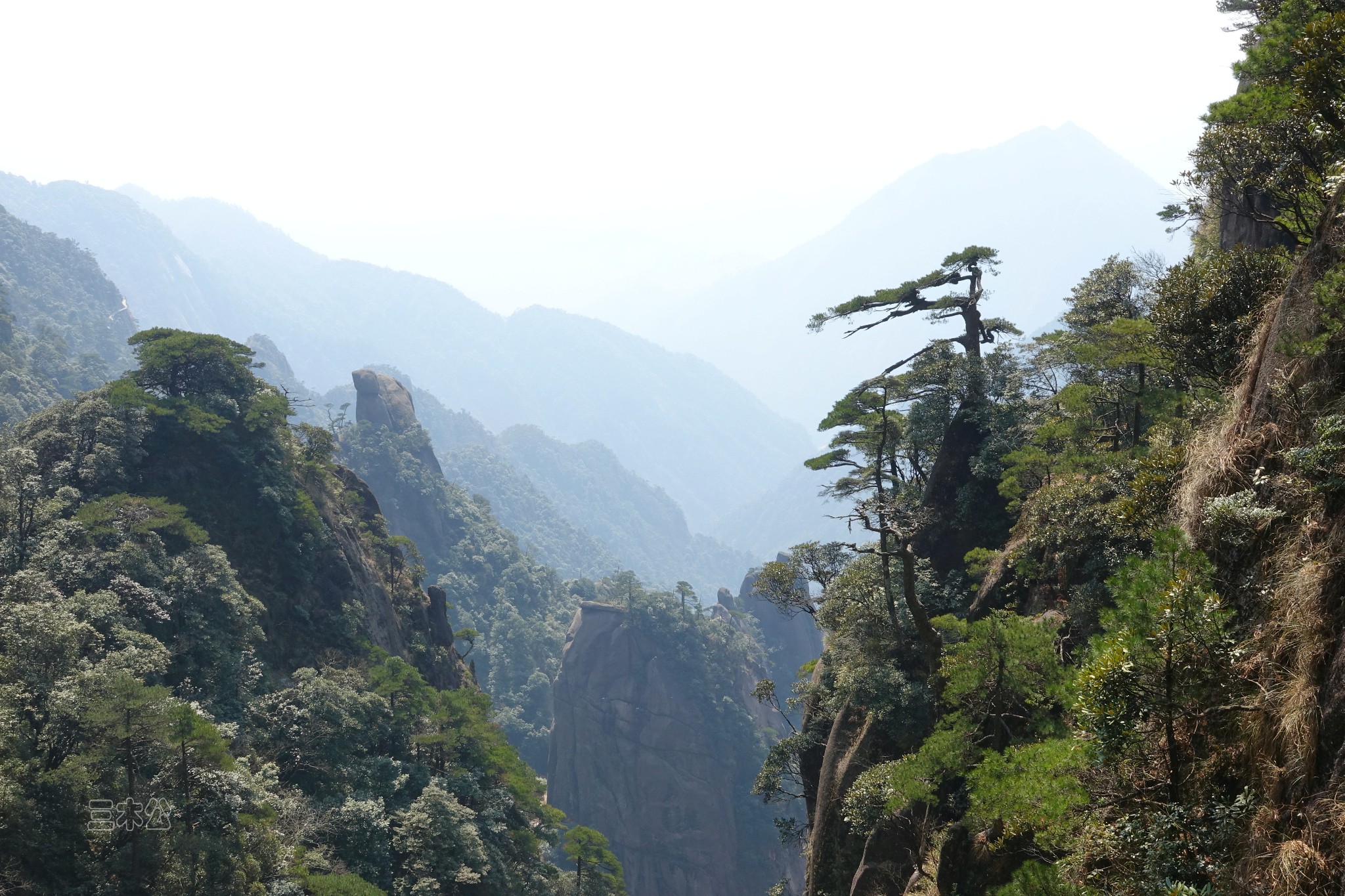 三清山自助遊攻略