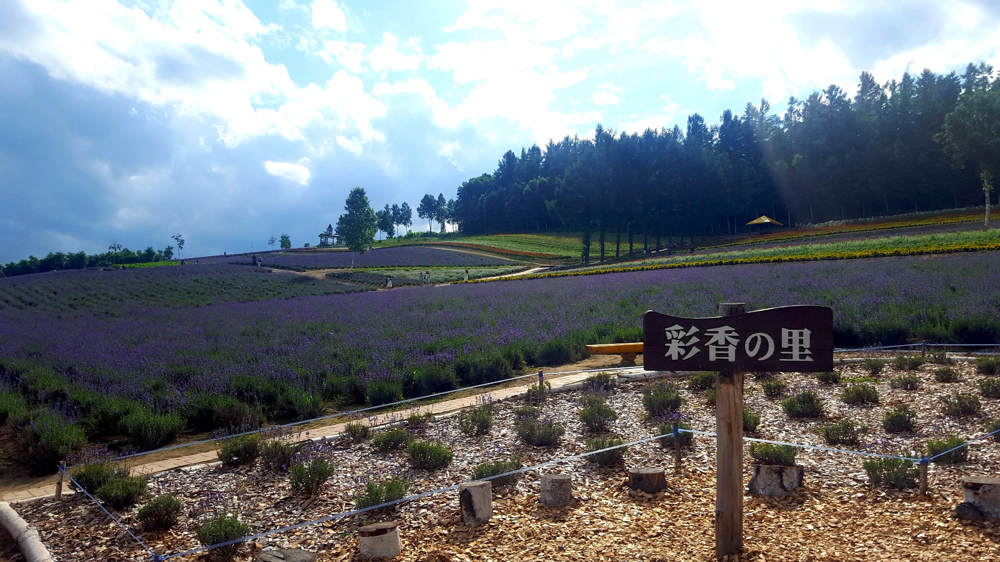 北海道自助遊攻略