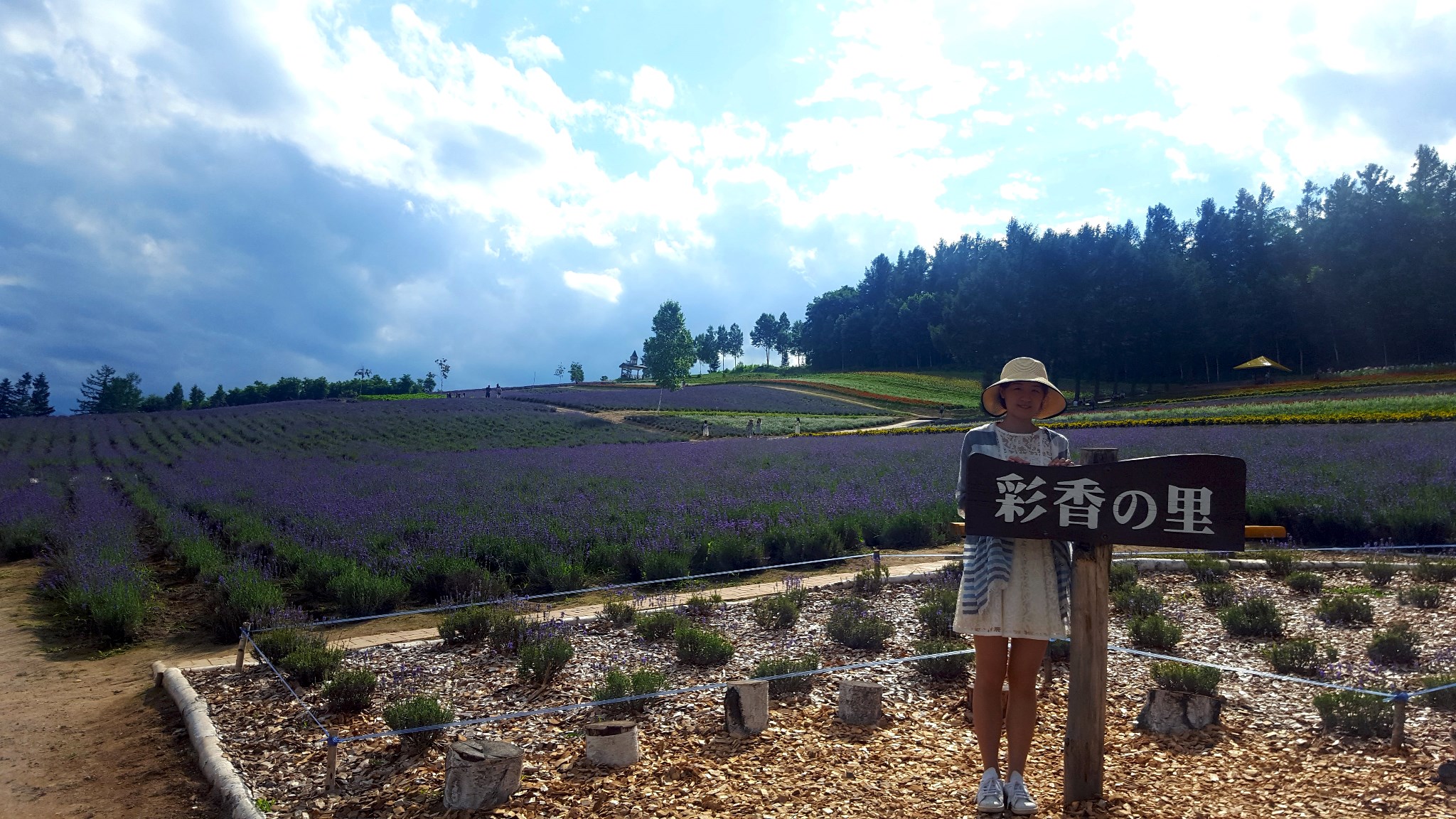 北海道自助遊攻略