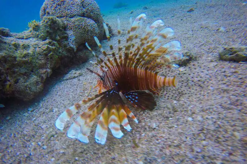 2017-7-4 21:00 引用 听雨 的文字:             佩特拉-埃拉特-死海