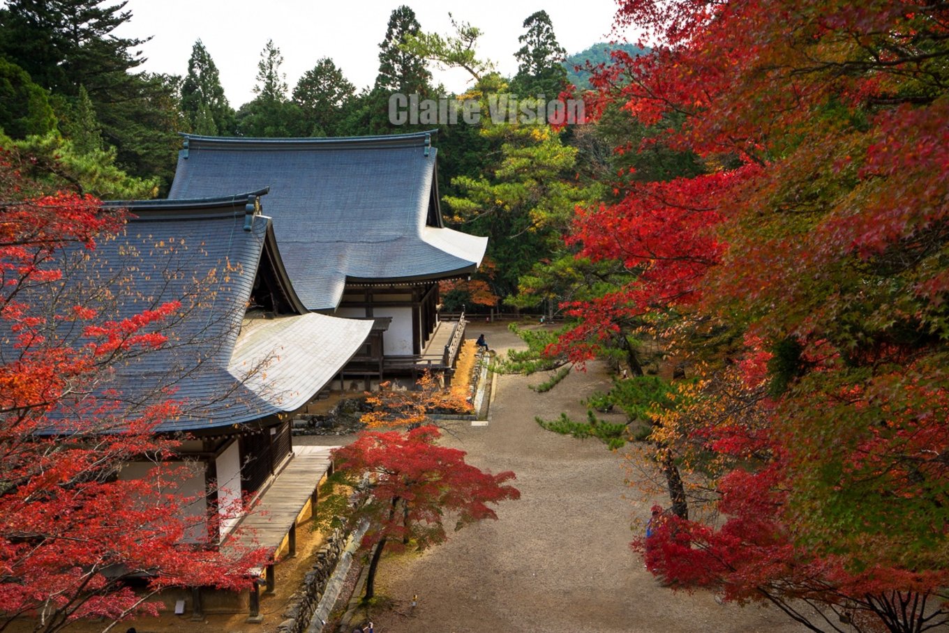 京都自助遊攻略