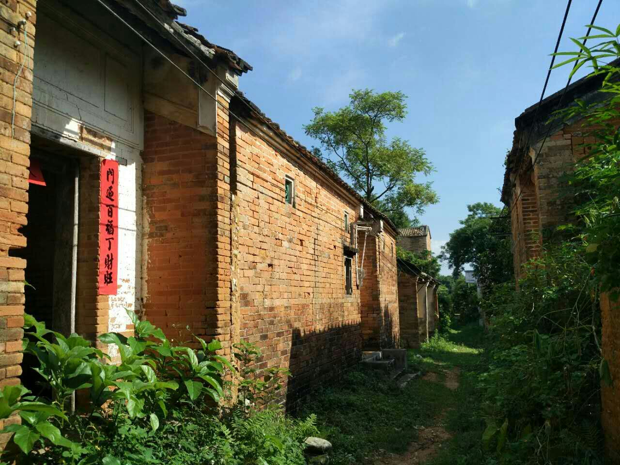 湛江寻古遂溪麻章八大古村之苏二村庐山村旧县村