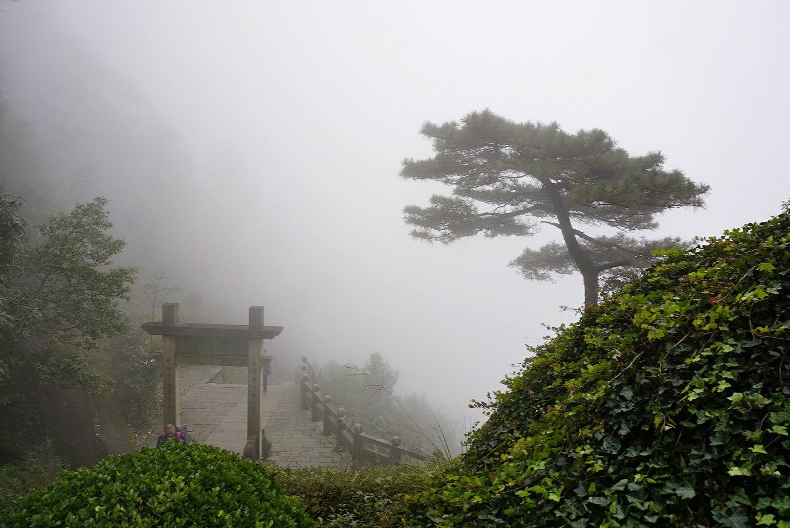 三清山自助遊攻略