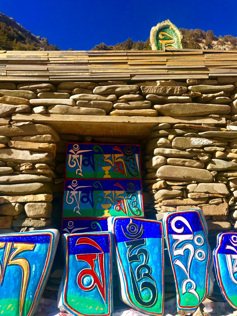 给小鸟超度的经文的简单介绍