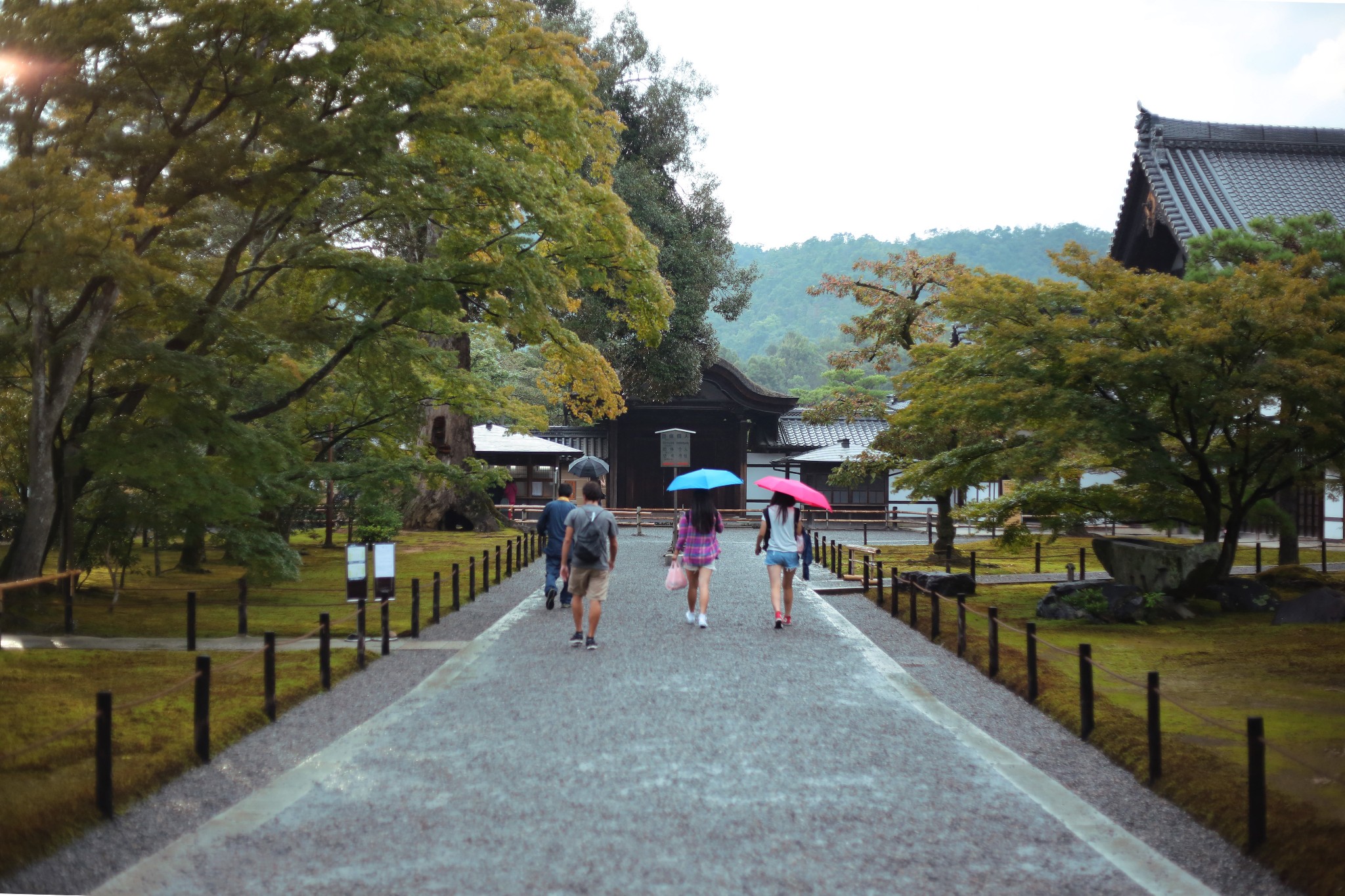 京都自助遊攻略