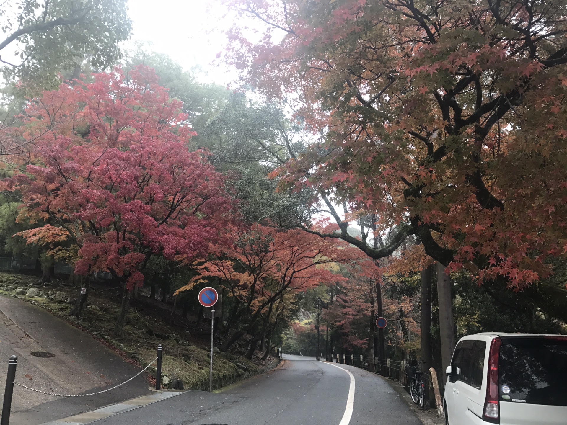 京都自助遊攻略