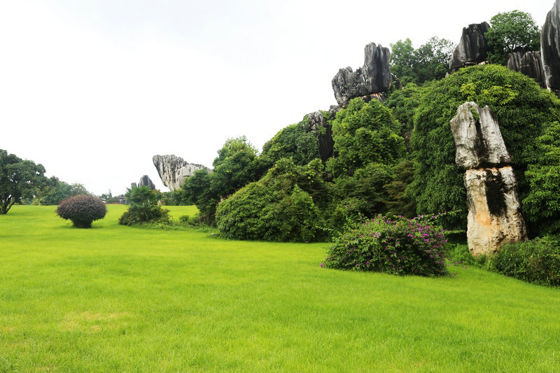 残花什么成语_宿伞之魂残花泪图片(3)