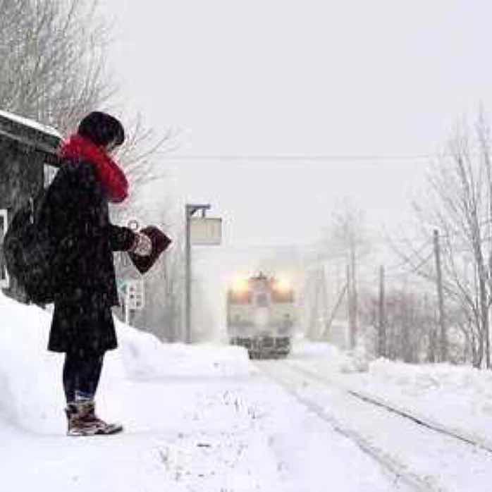 寒雪