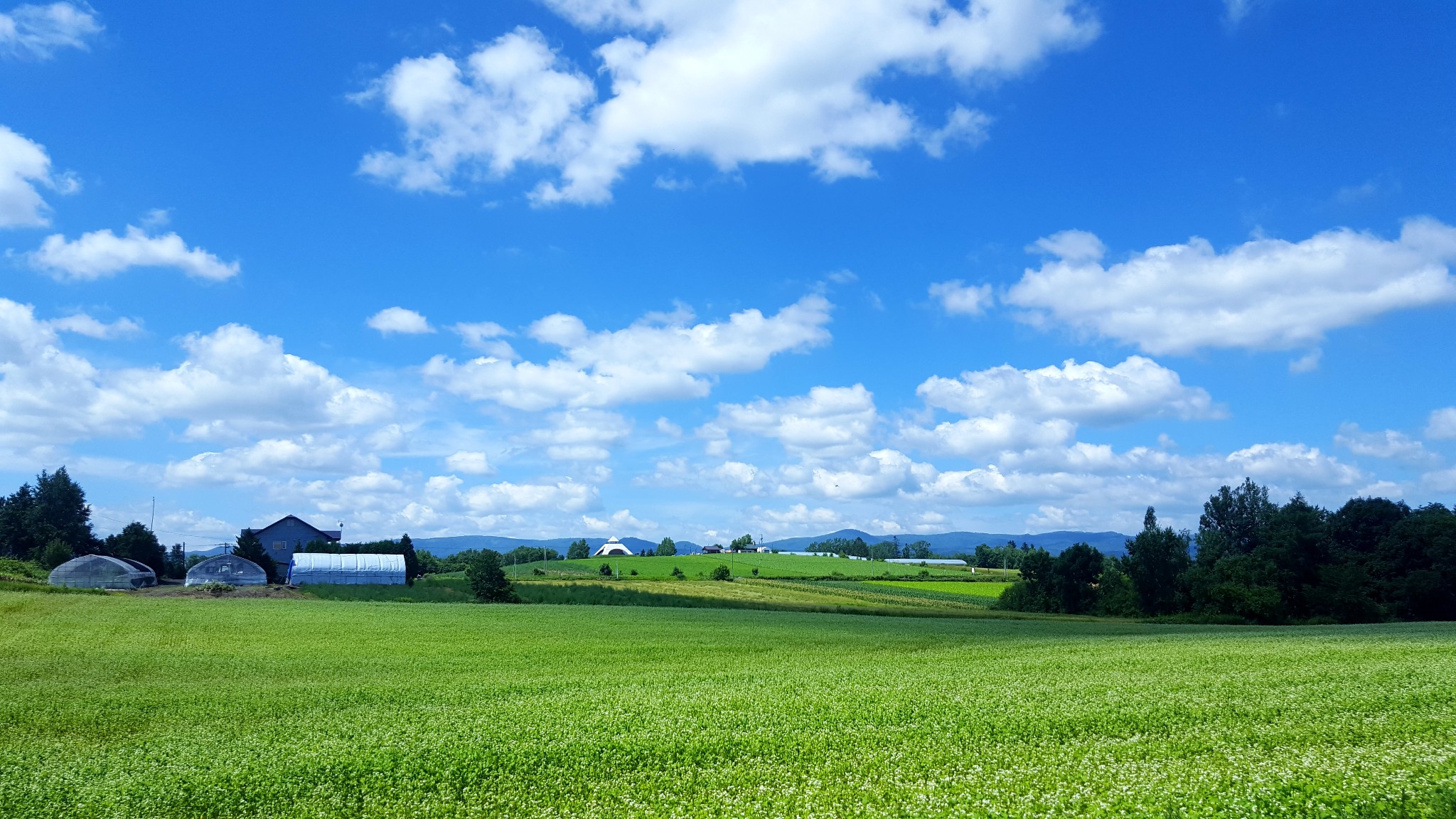 北海道自助遊攻略