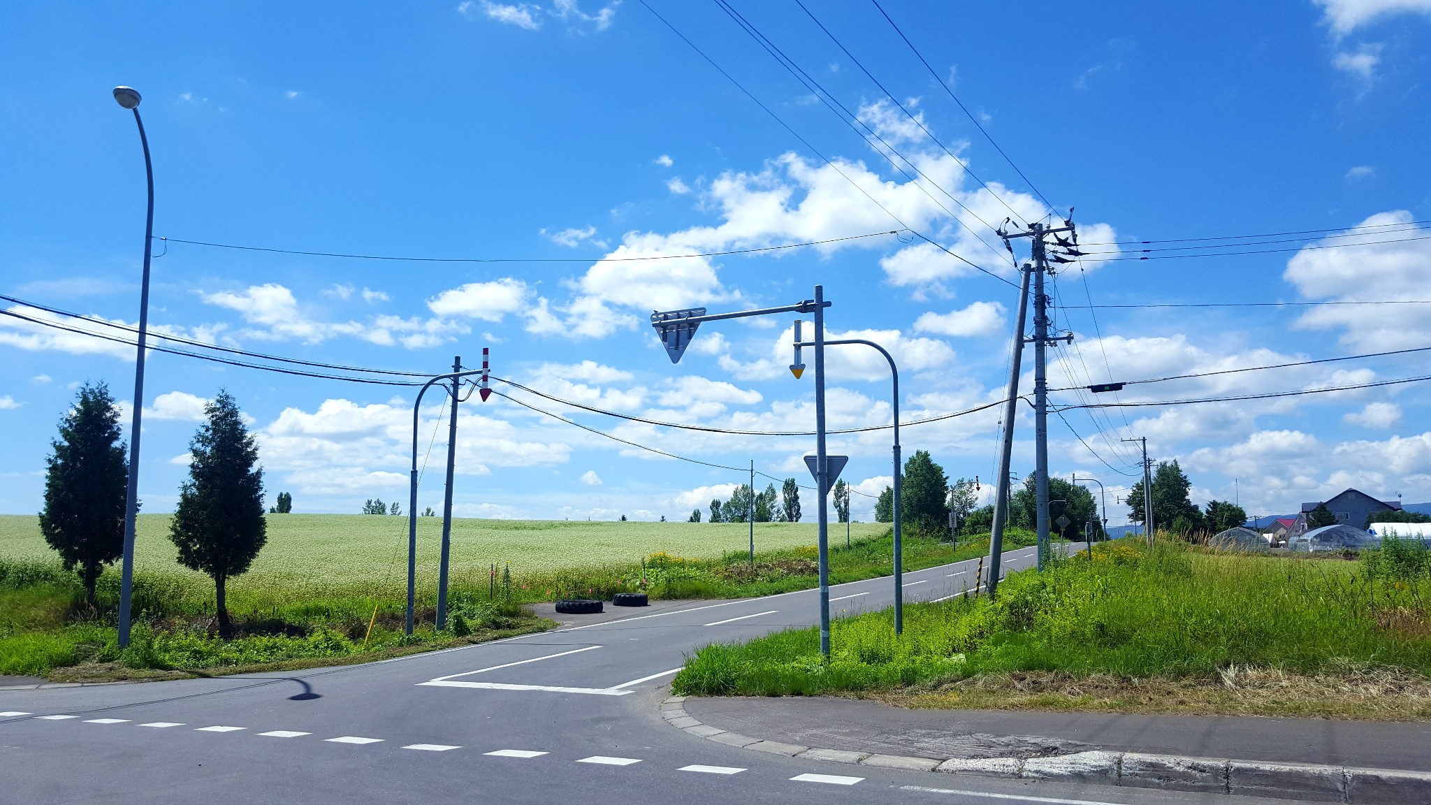 北海道自助遊攻略