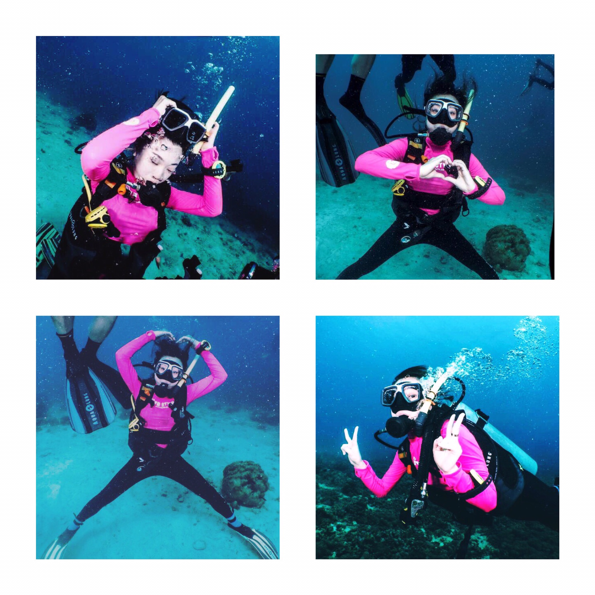 暹罗之恋涛岛ow潜水记