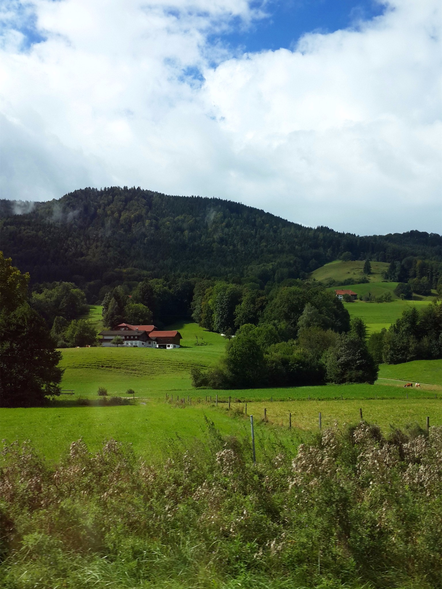 阿尔卑斯山自驾游-慕尼黑到萨尔茨堡(一)