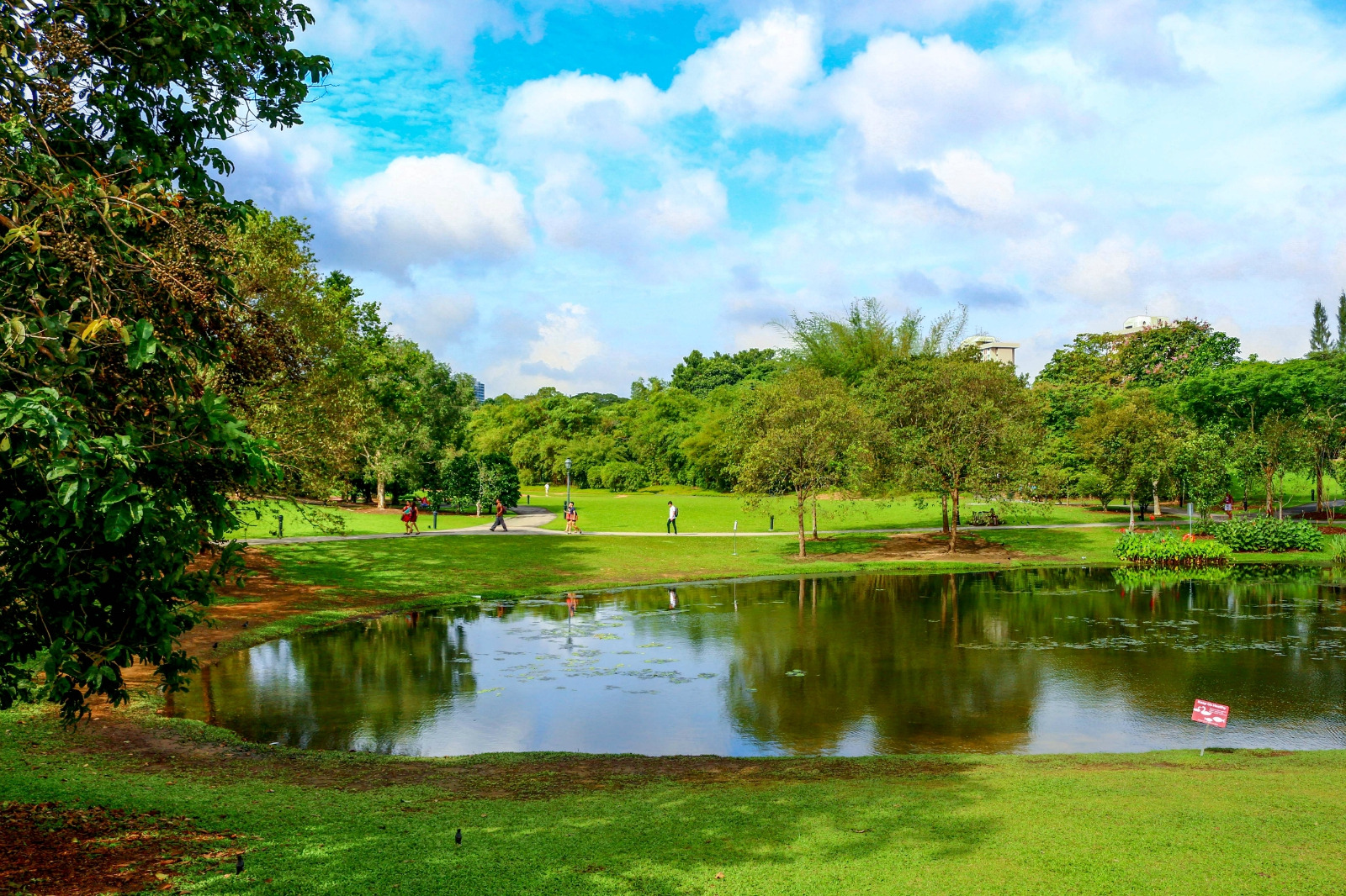 生态亲子 新加坡中文1日10小时包车游 裕廊飞禽公园 植物园 摩天轮