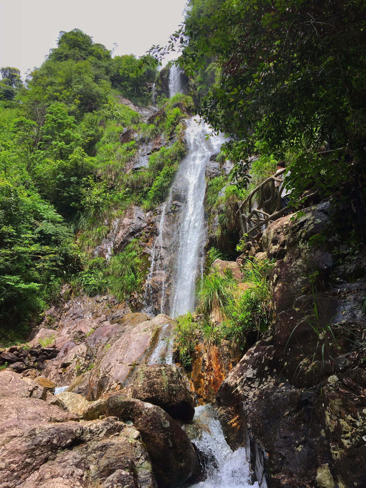 麗水】雨天探訪箬寮原始森林和象溪古村圖片57,松陽旅遊景點,風景名勝